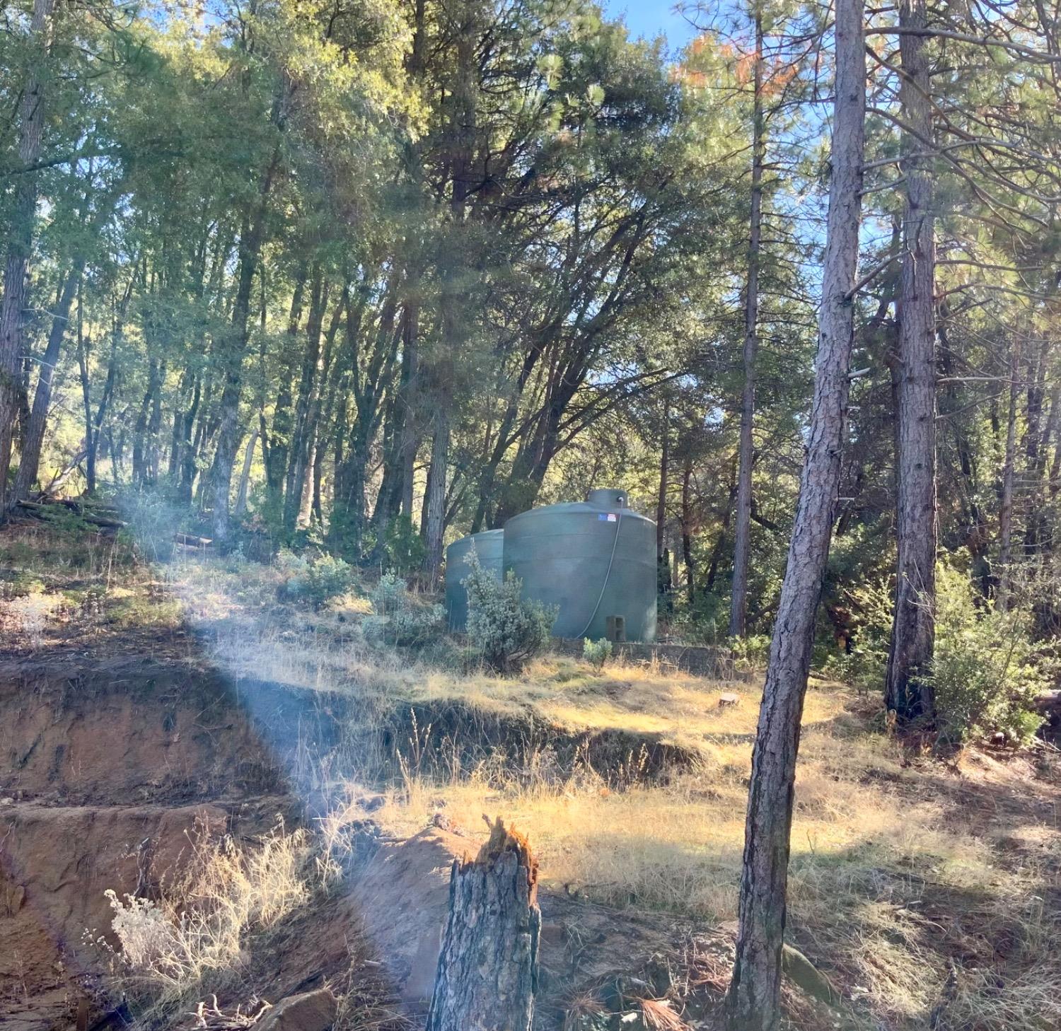 50963 Chu Ranch Rd, Oakhurst, CA 93644