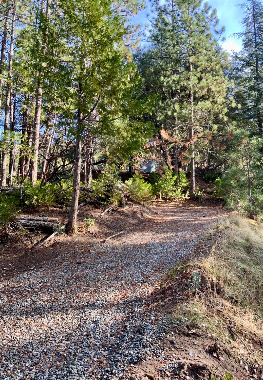 50963 Chu Ranch Rd, Oakhurst, CA 93644