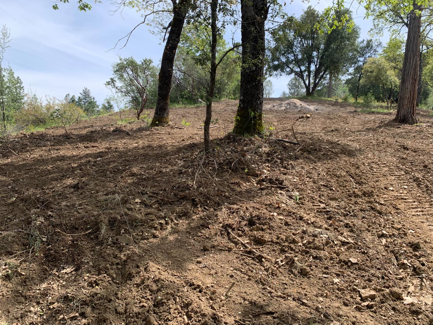 3 Road 222, Oakhurst, CA 93644