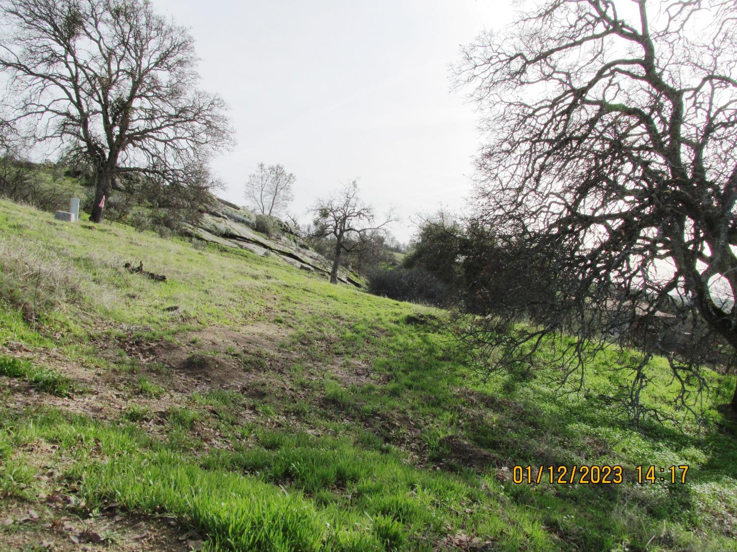 39854 Lilley Mountain Dr, Coarsegold, CA 93614