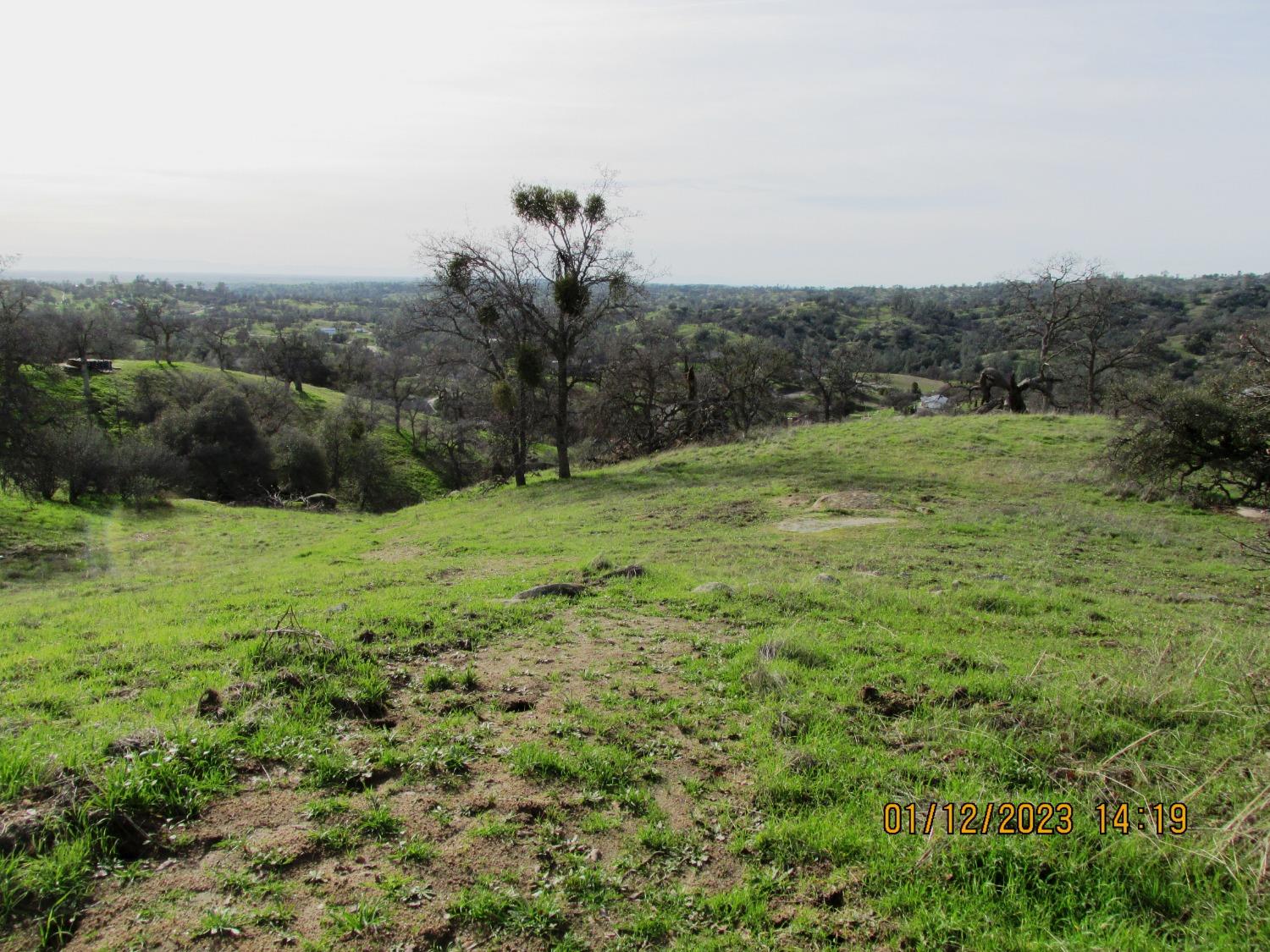 39854 Lilley Mountain Dr, Coarsegold, CA 93614