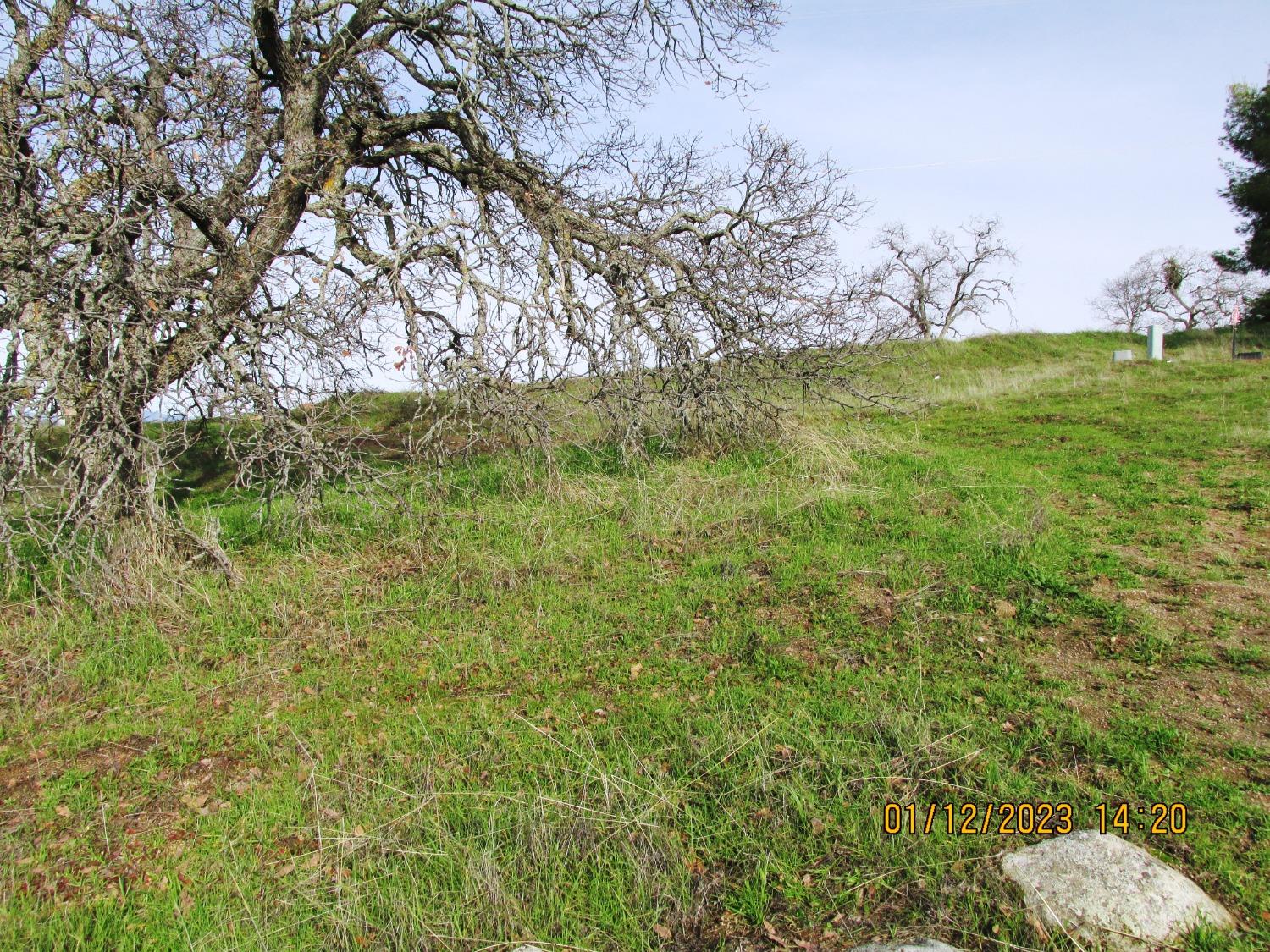 39854 Lilley Mountain Dr, Coarsegold, CA 93614