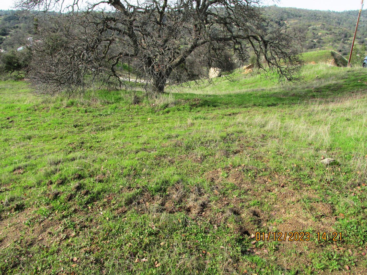 39854 Lilley Mountain Dr, Coarsegold, CA 93614