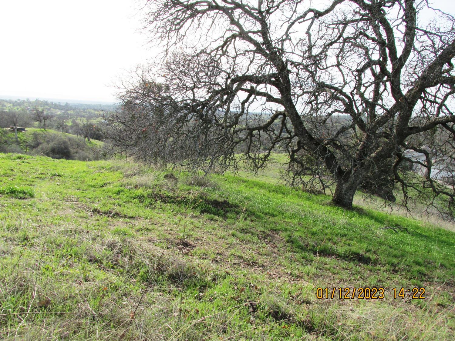 39854 Lilley Mountain Dr, Coarsegold, CA 93614