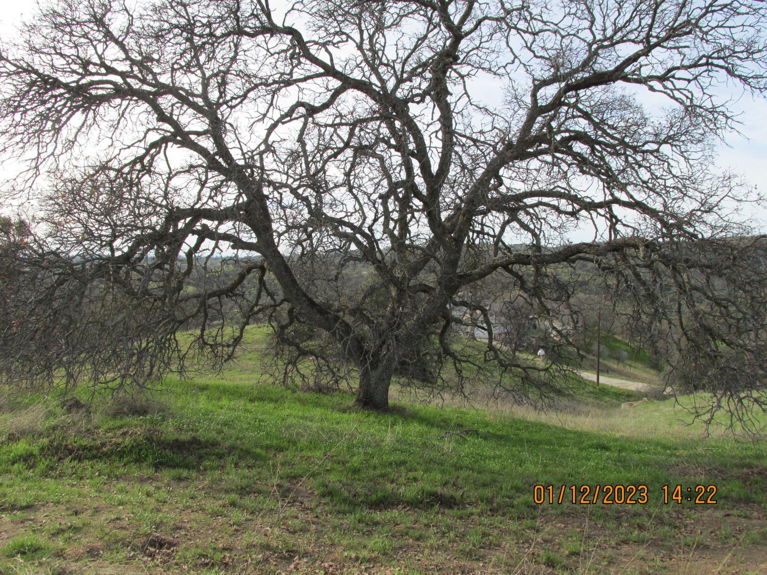 39854 Lilley Mountain Dr, Coarsegold, CA 93614