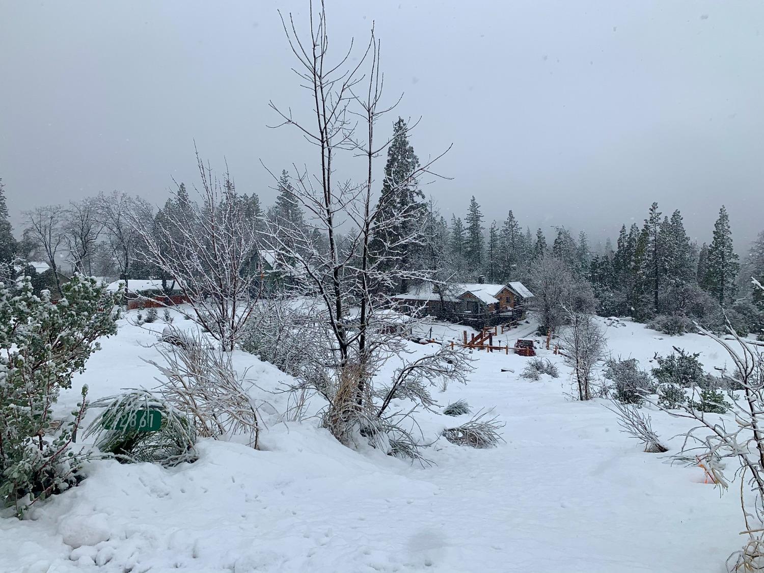 52861 Cedar Dr, Oakhurst, CA 93644