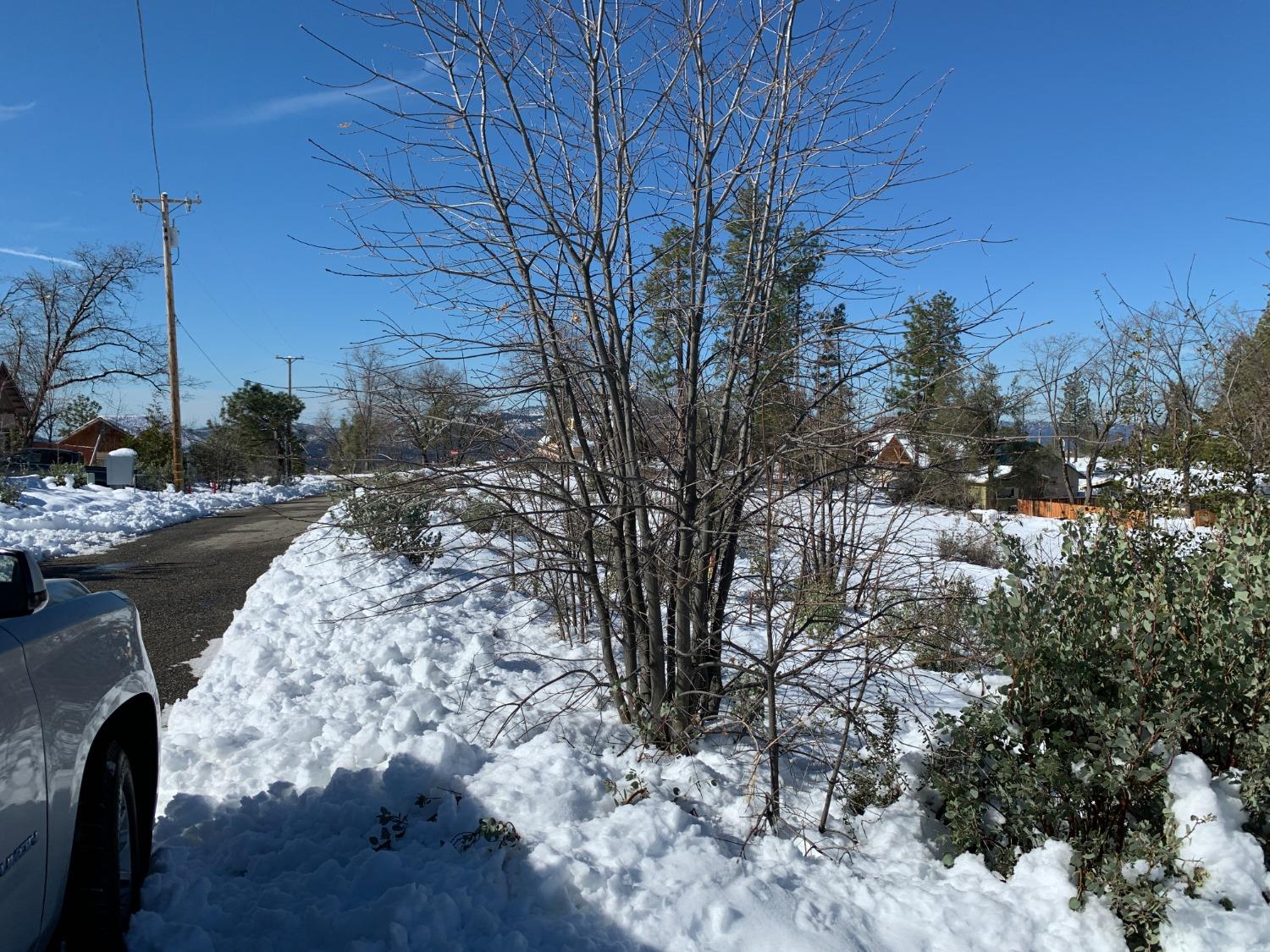 52861 Cedar Dr, Oakhurst, CA 93644