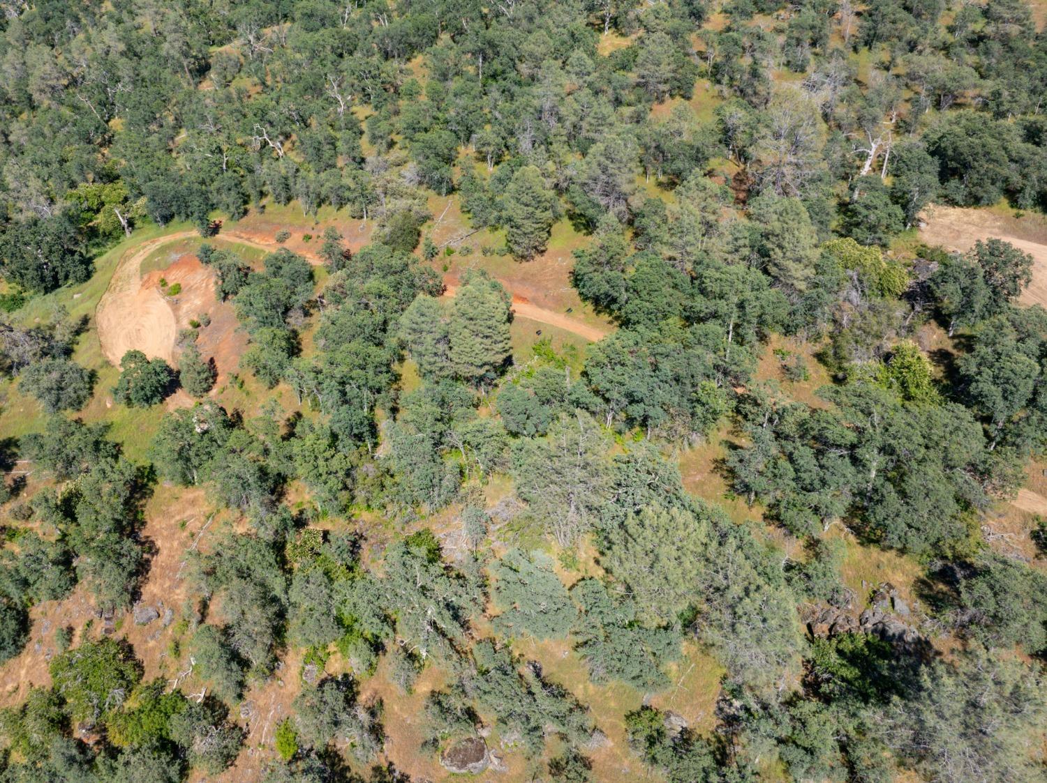 80 City View, Coarsegold, CA 93614