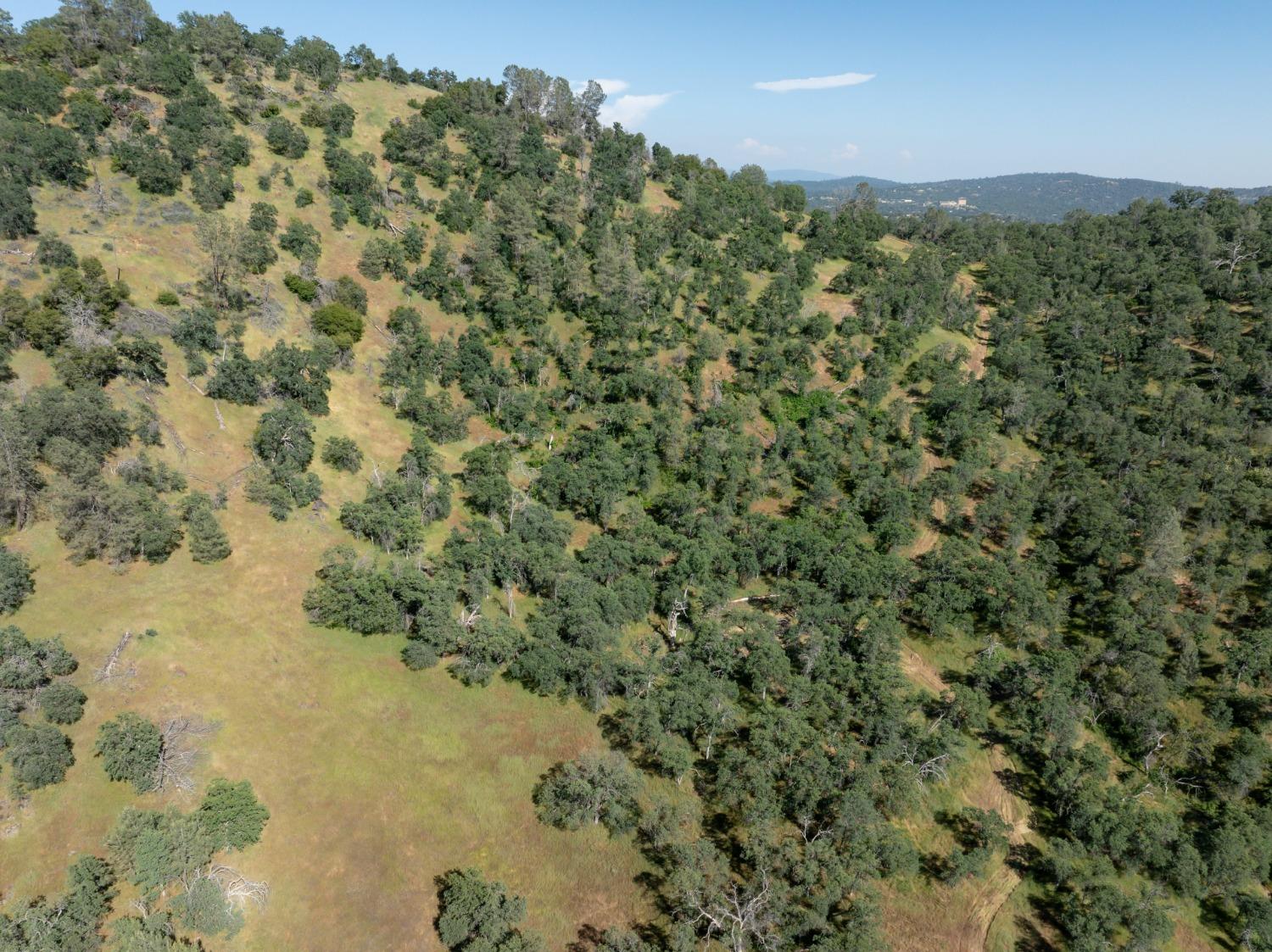 80 City View, Coarsegold, CA 93614