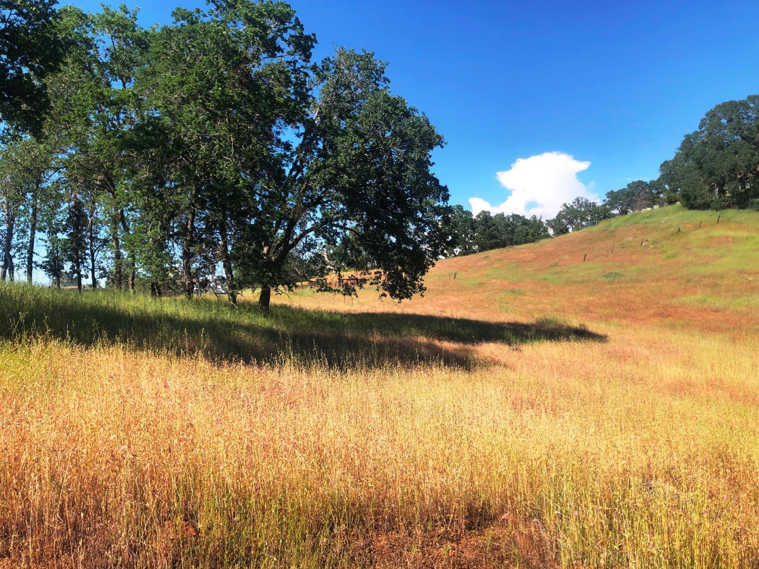 80 City View, Coarsegold, CA 93614