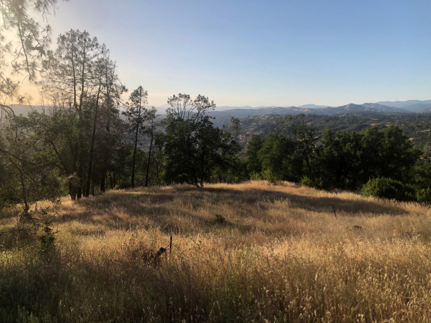 80 City View, Coarsegold, CA 93614