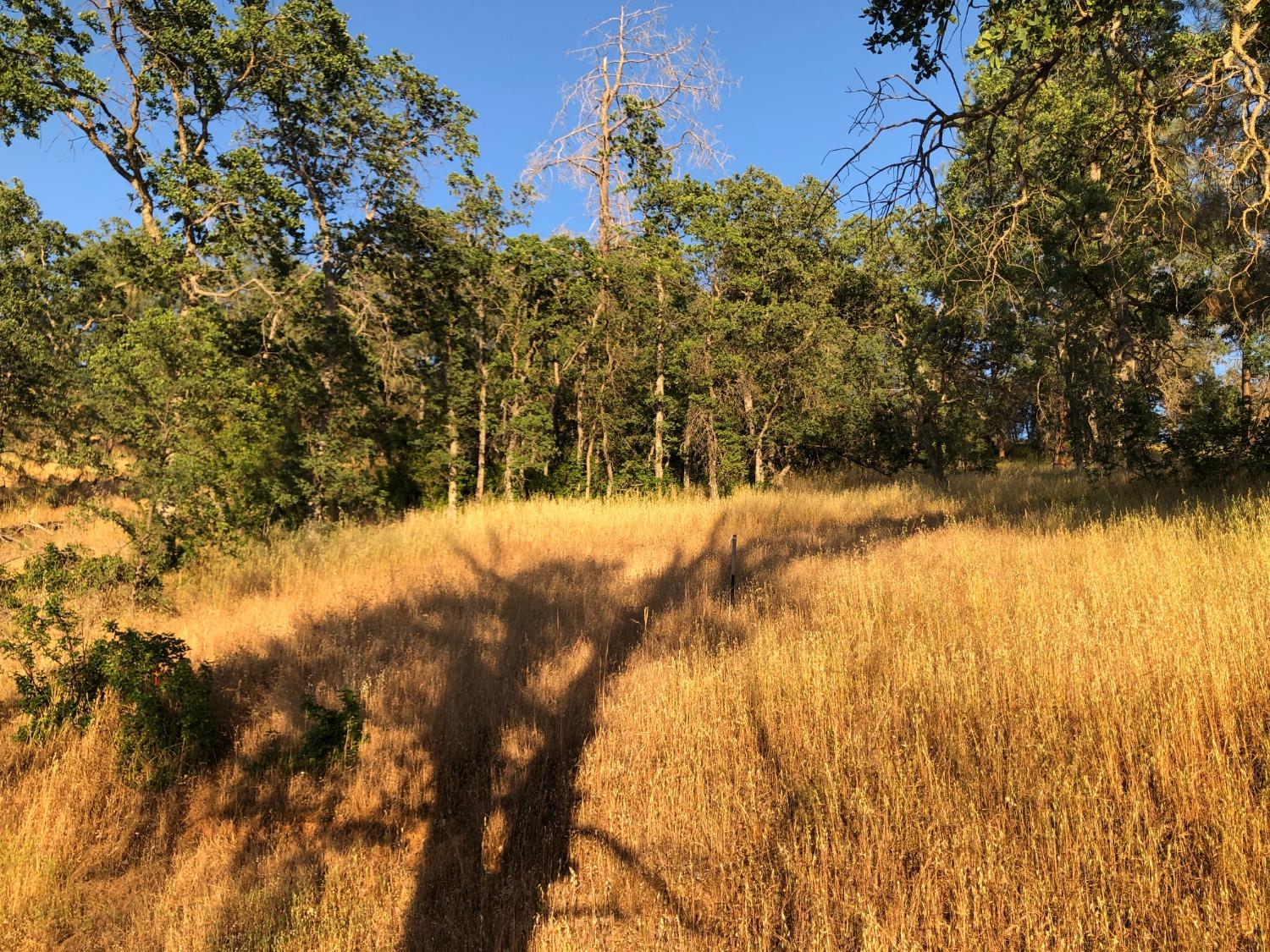 80 City View, Coarsegold, CA 93614