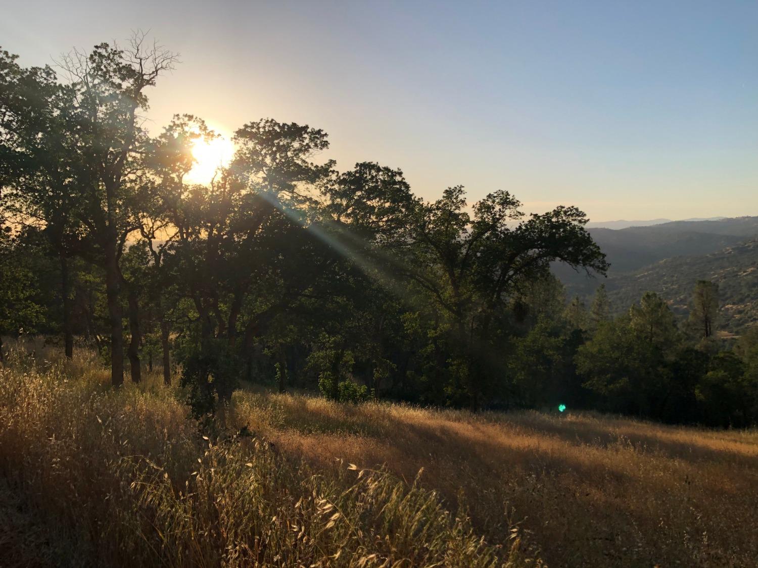 80 City View, Coarsegold, CA 93614