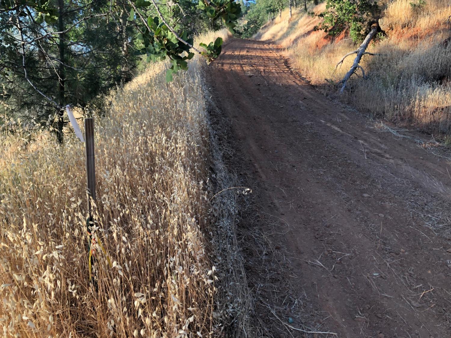 80 City View, Coarsegold, CA 93614