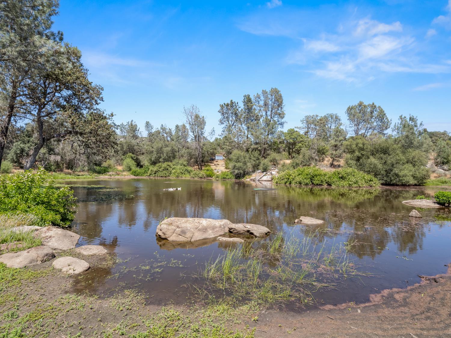 28899 Limestone Way, Coarsegold, CA 93614