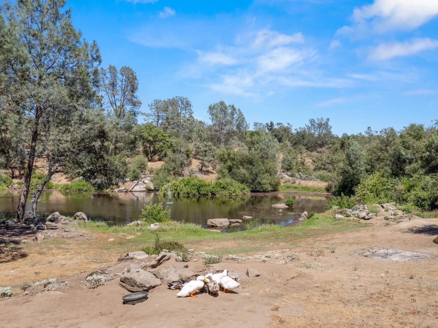 28899 Limestone Way, Coarsegold, CA 93614