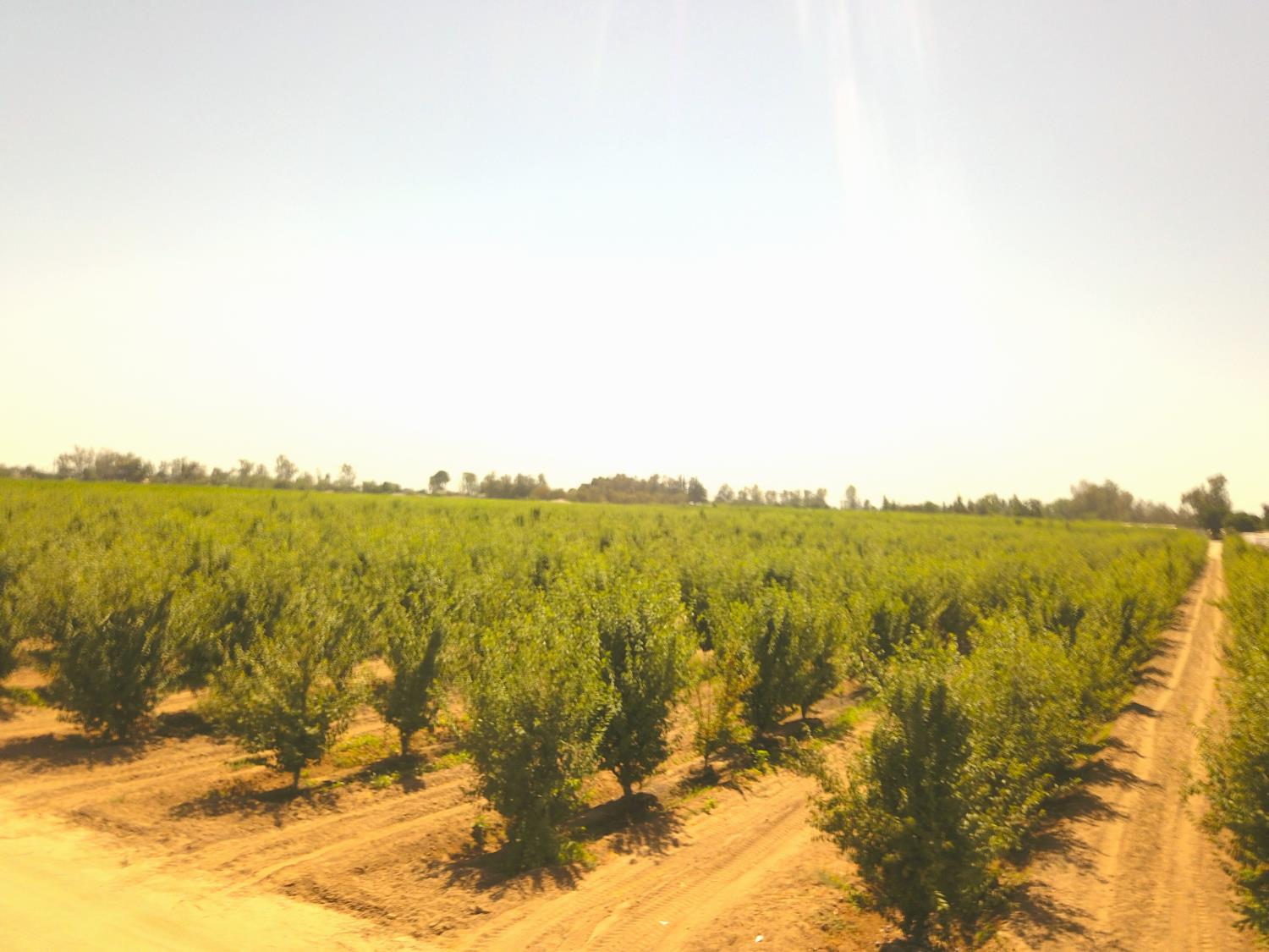 42682 Road 72, Dinuba, CA 93618