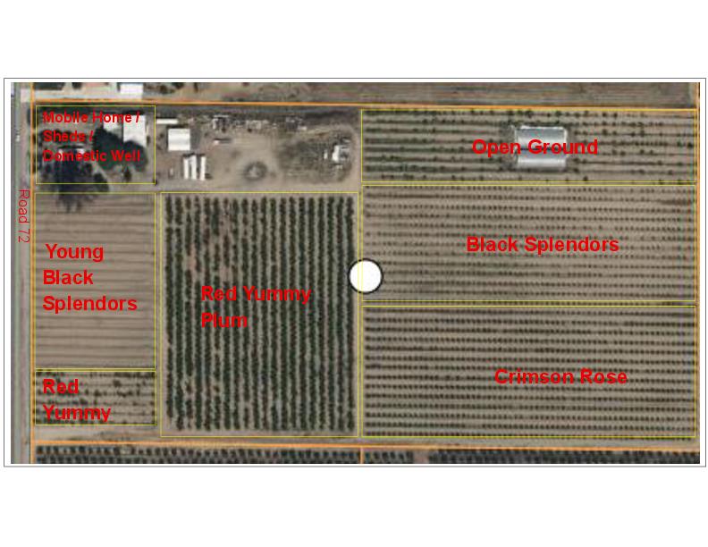 42682 Road 72, Dinuba, CA 93618