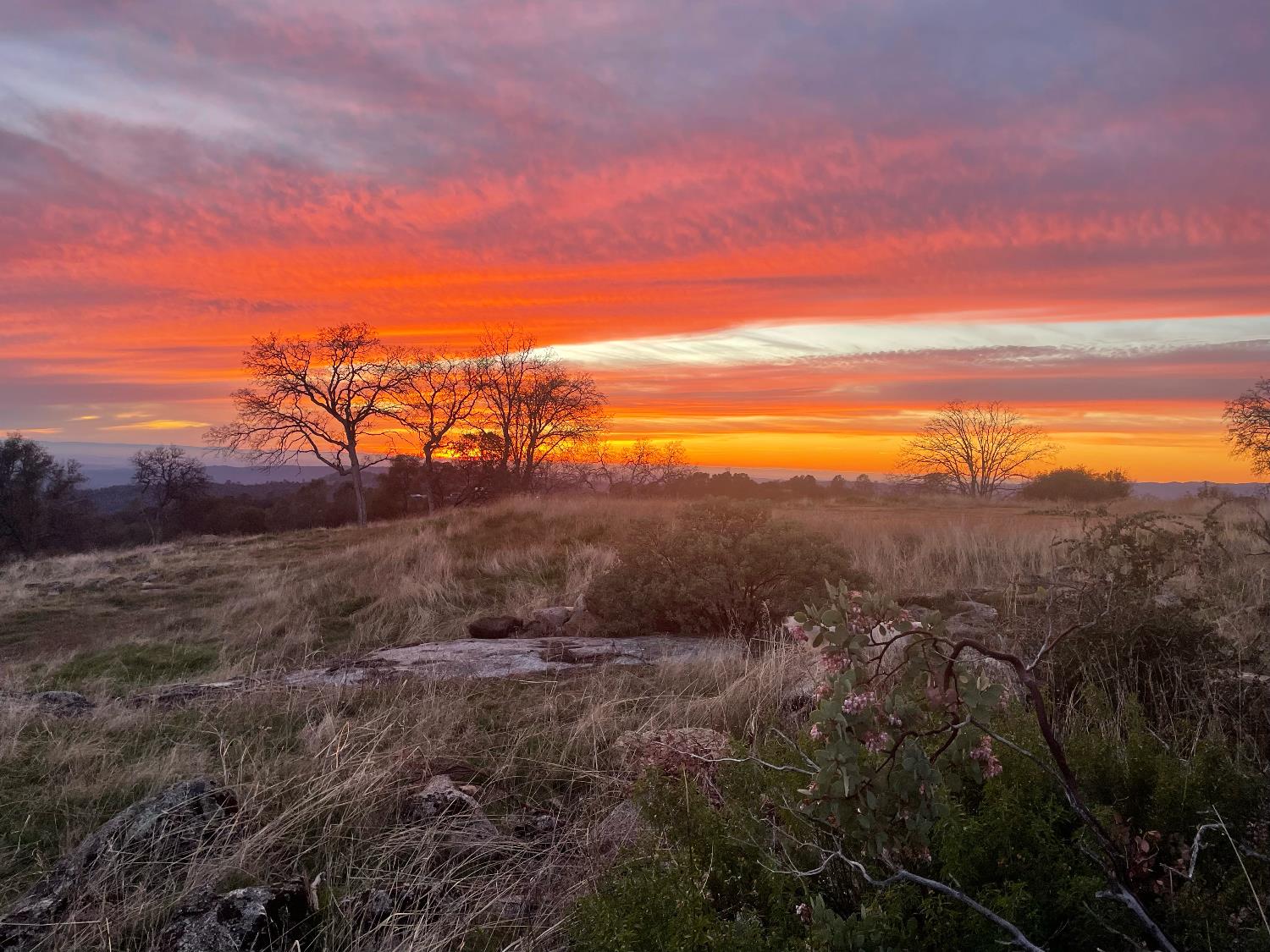 1 Buggy Whip Dr, Coarsegold, CA 93614