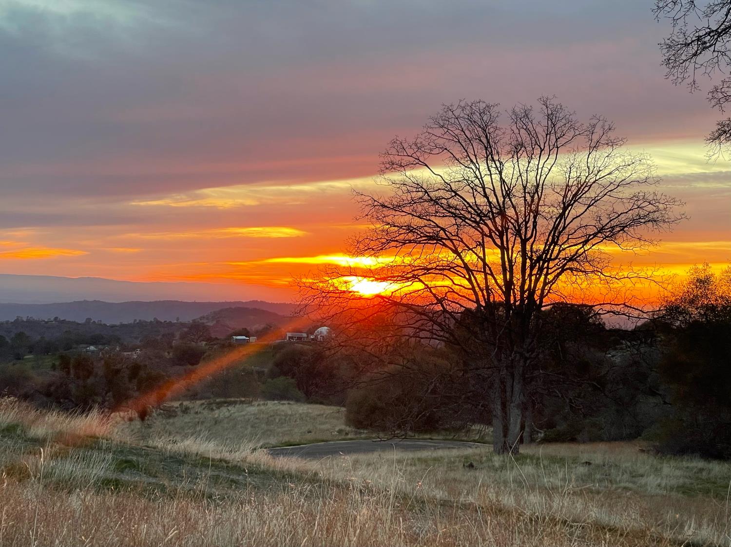 1 Buggy Whip Dr, Coarsegold, CA 93614