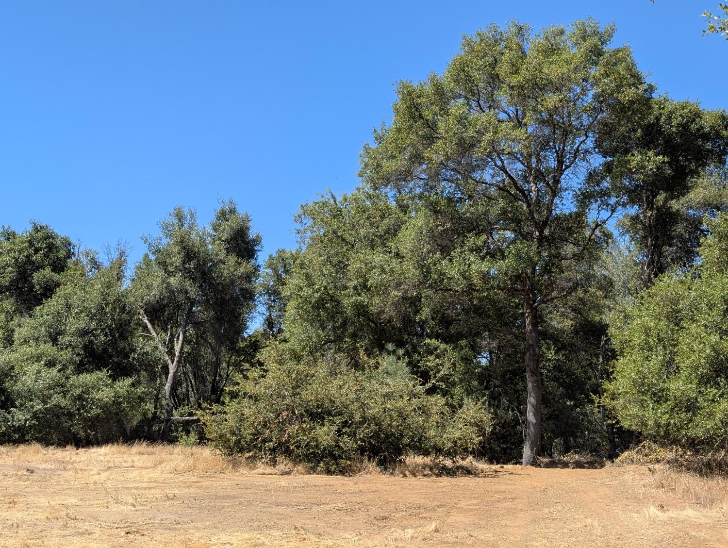 51668 Courtney Ln, Oakhurst, CA 93644