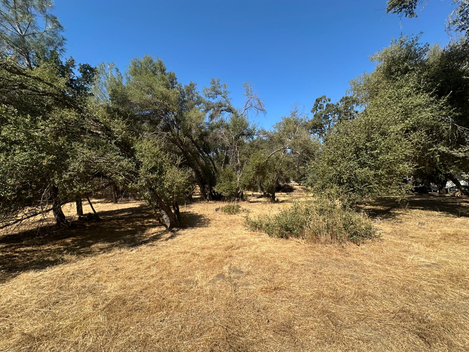 120 lot Rd, Coarsegold, CA 93614