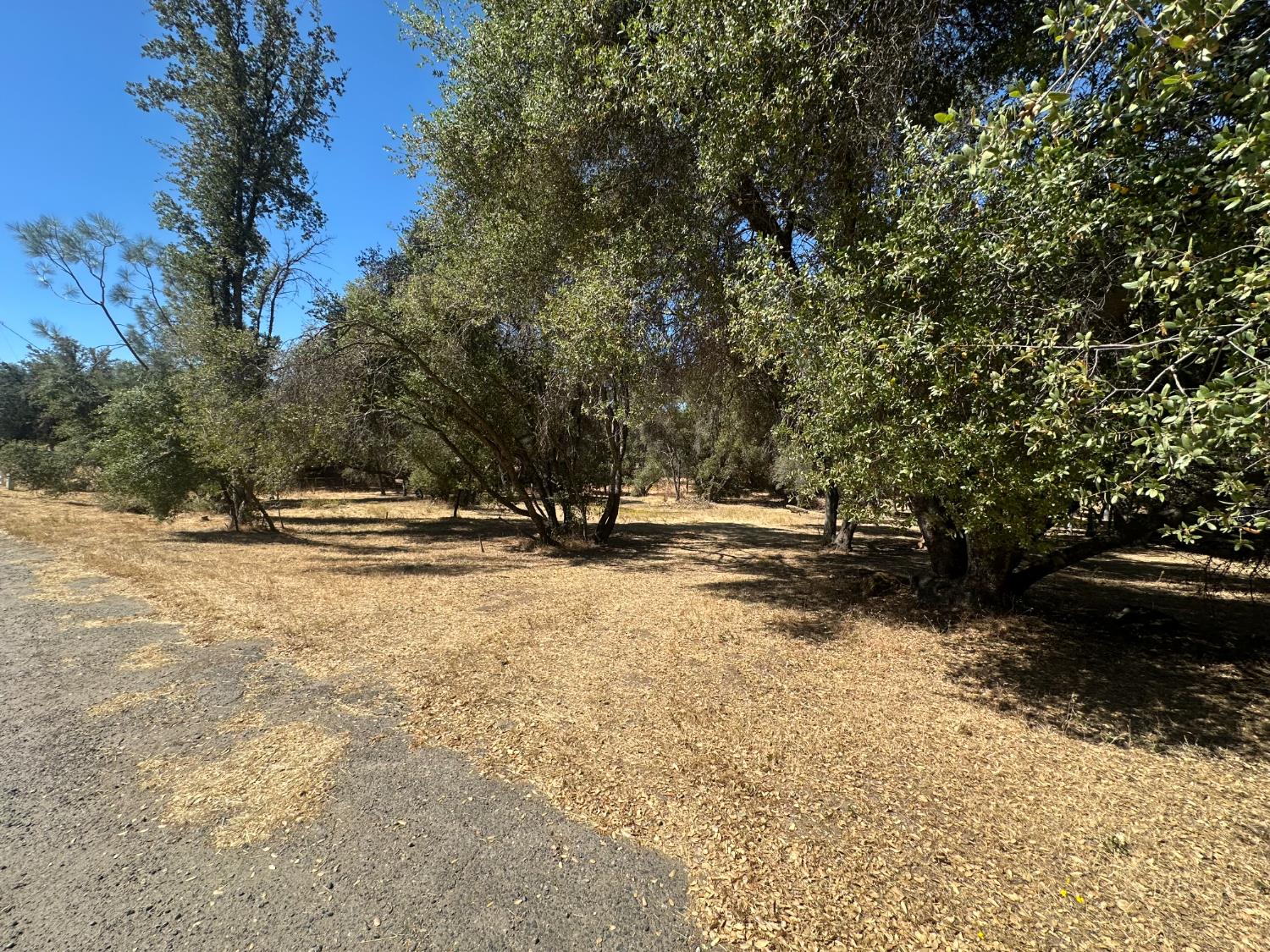 120 lot Rd, Coarsegold, CA 93614