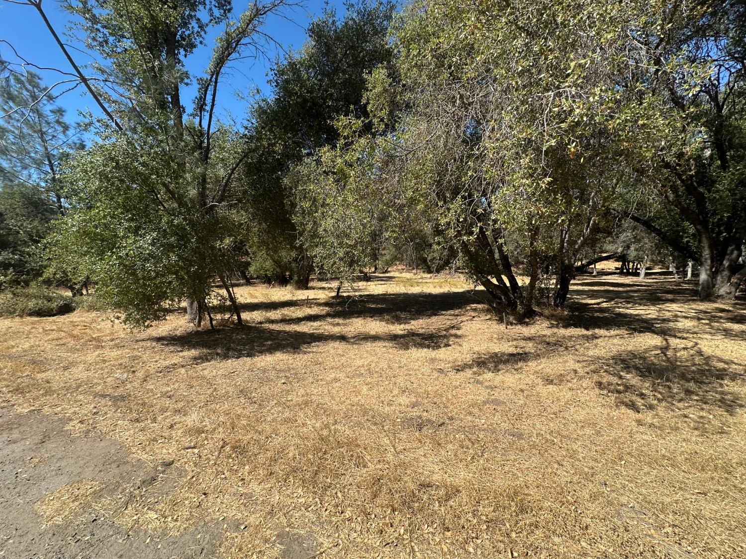 120 lot Rd, Coarsegold, CA 93614