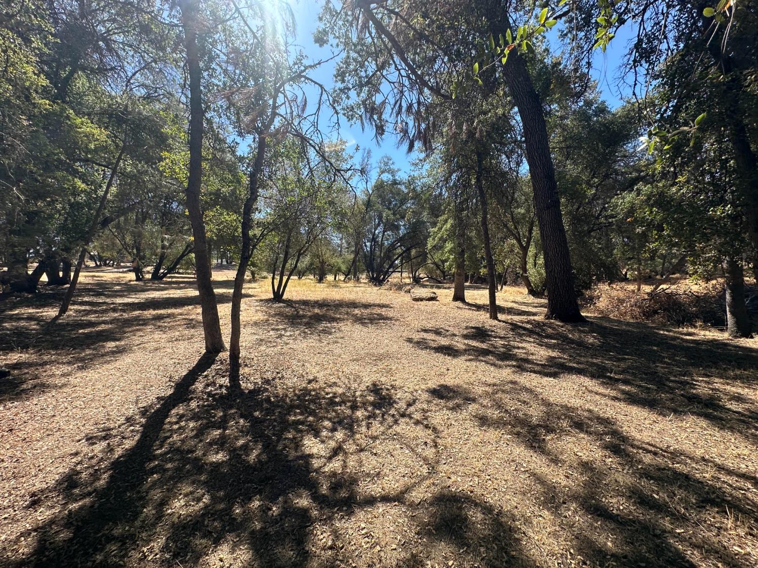 120 lot Rd, Coarsegold, CA 93614