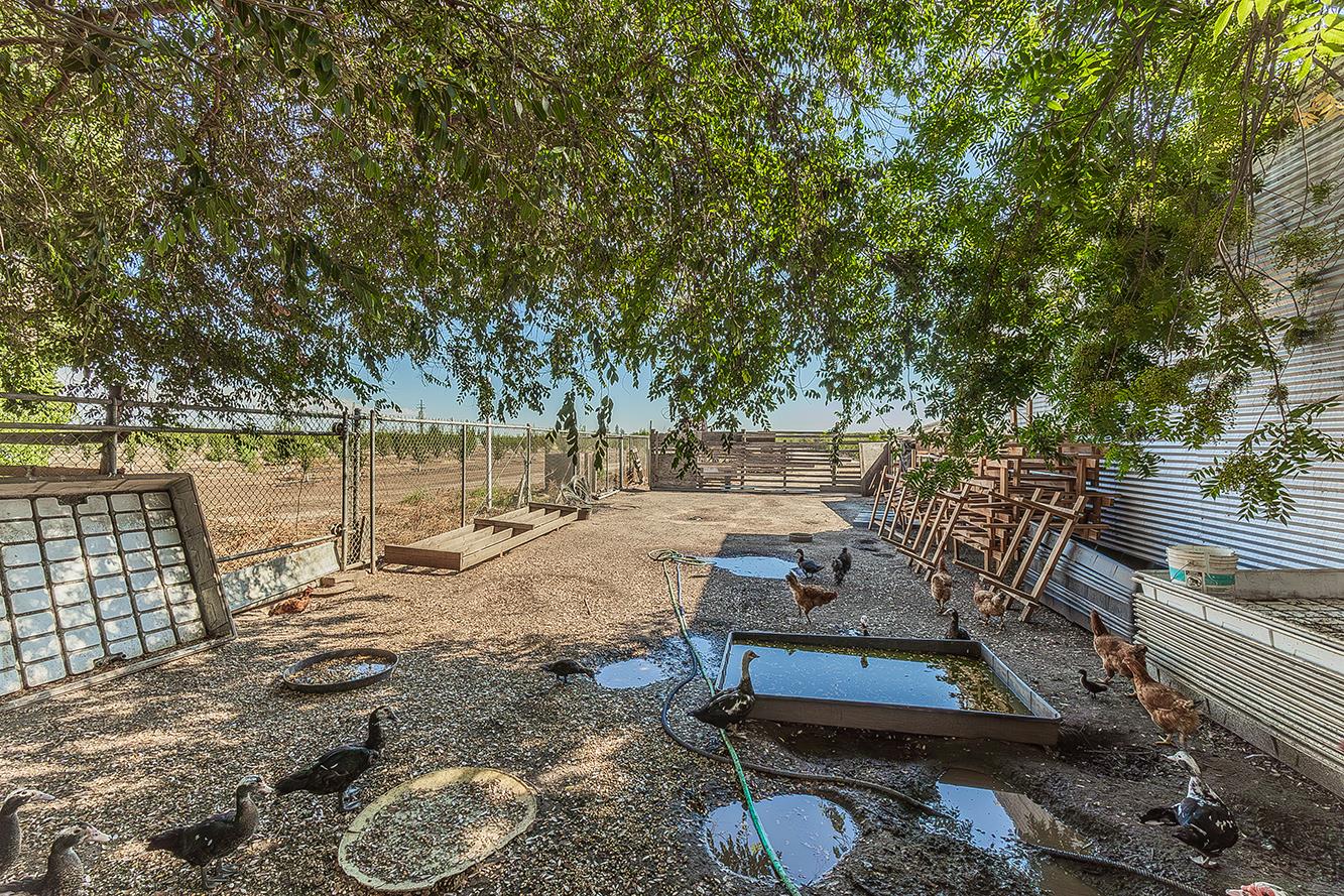 41179 Road 52, Reedley, CA 93654