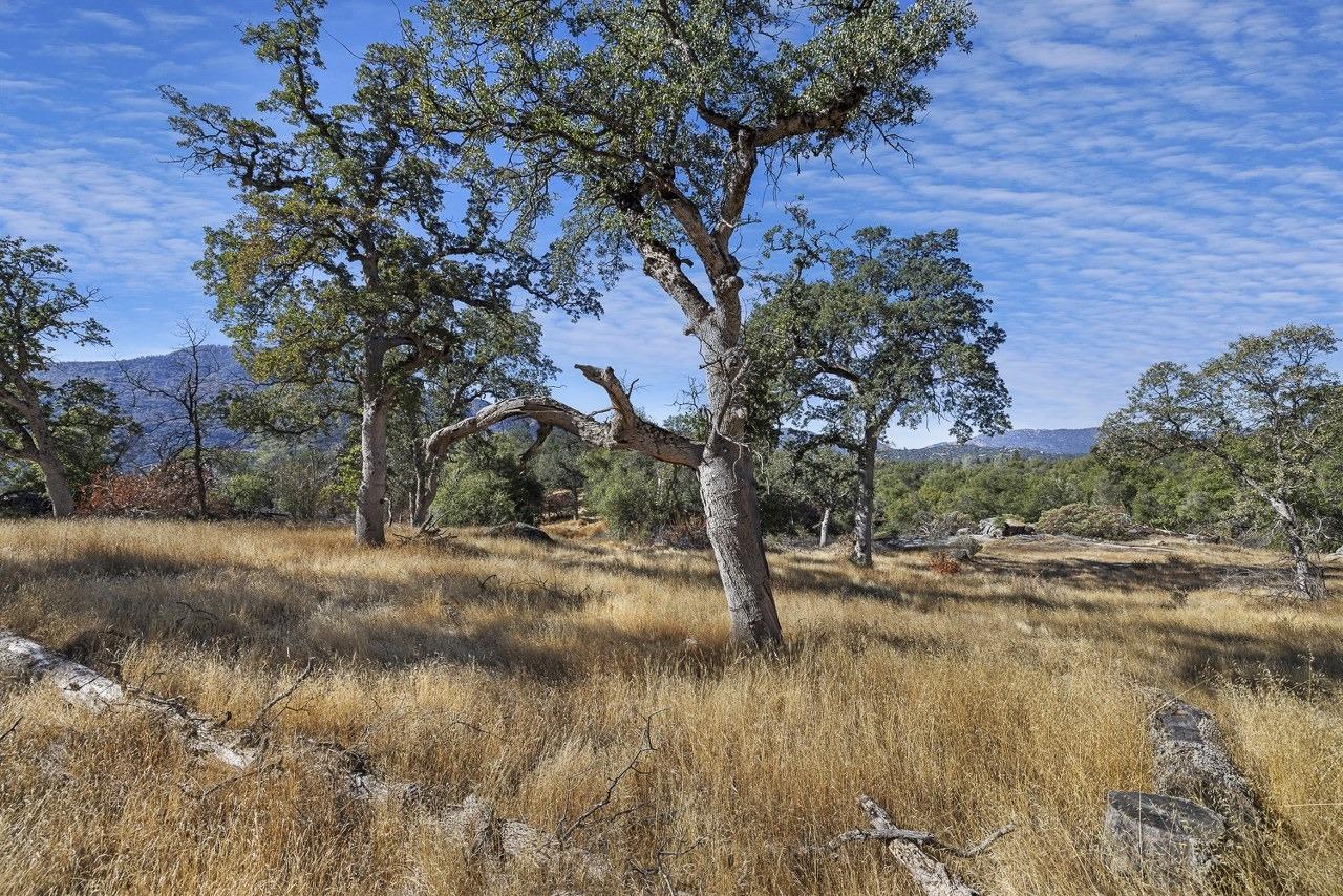 0 39.29 AC Village Dr, Oakhurst, CA 93644