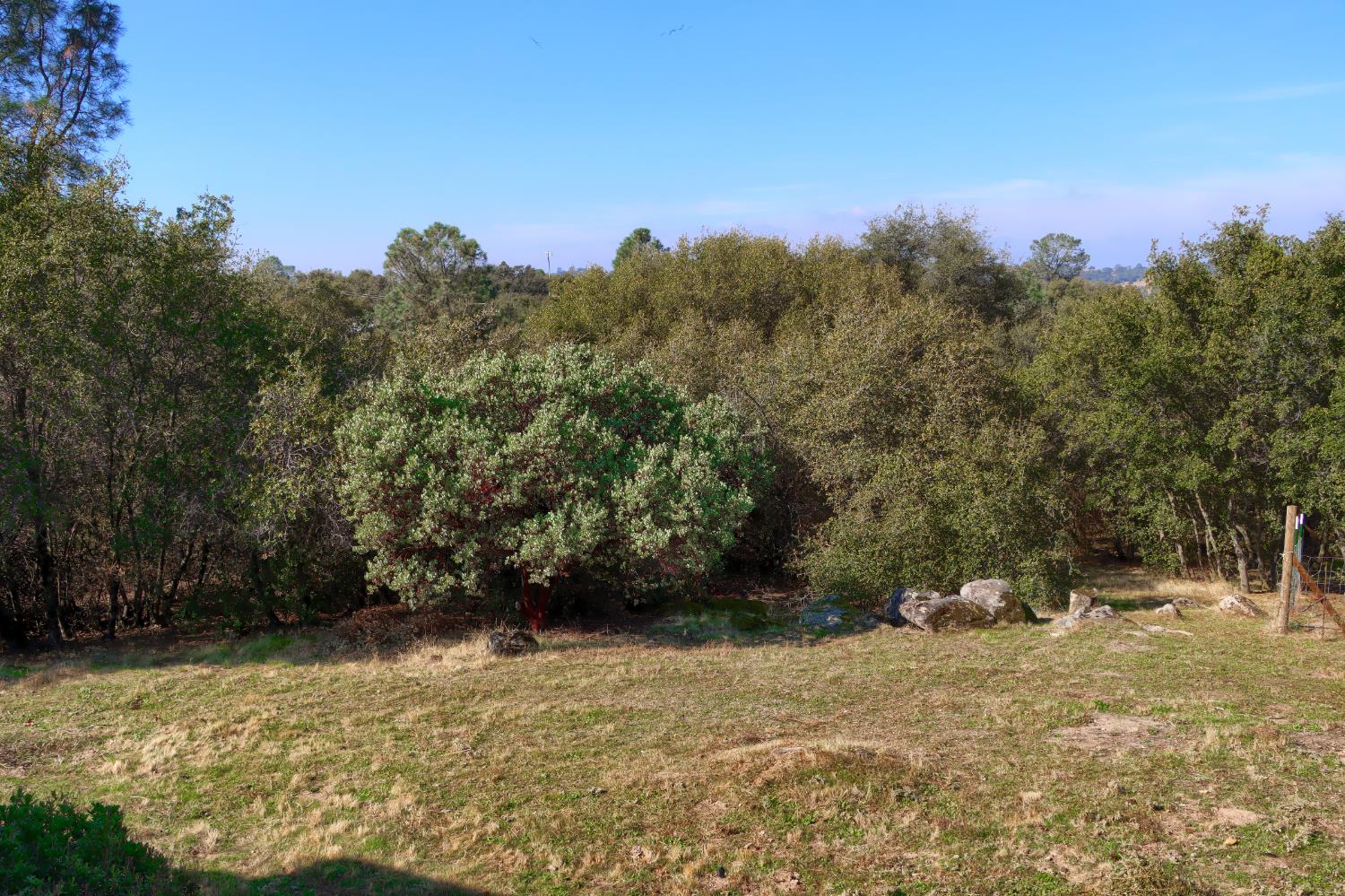 31678 Buck Run Ln, Coarsegold, CA 93614