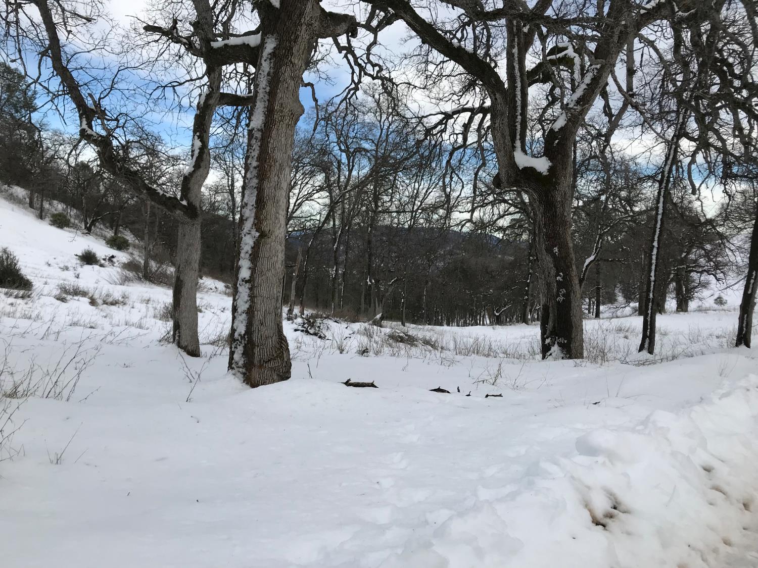 38088 Serpa Canyon Rd, Coarsegold, CA 93614