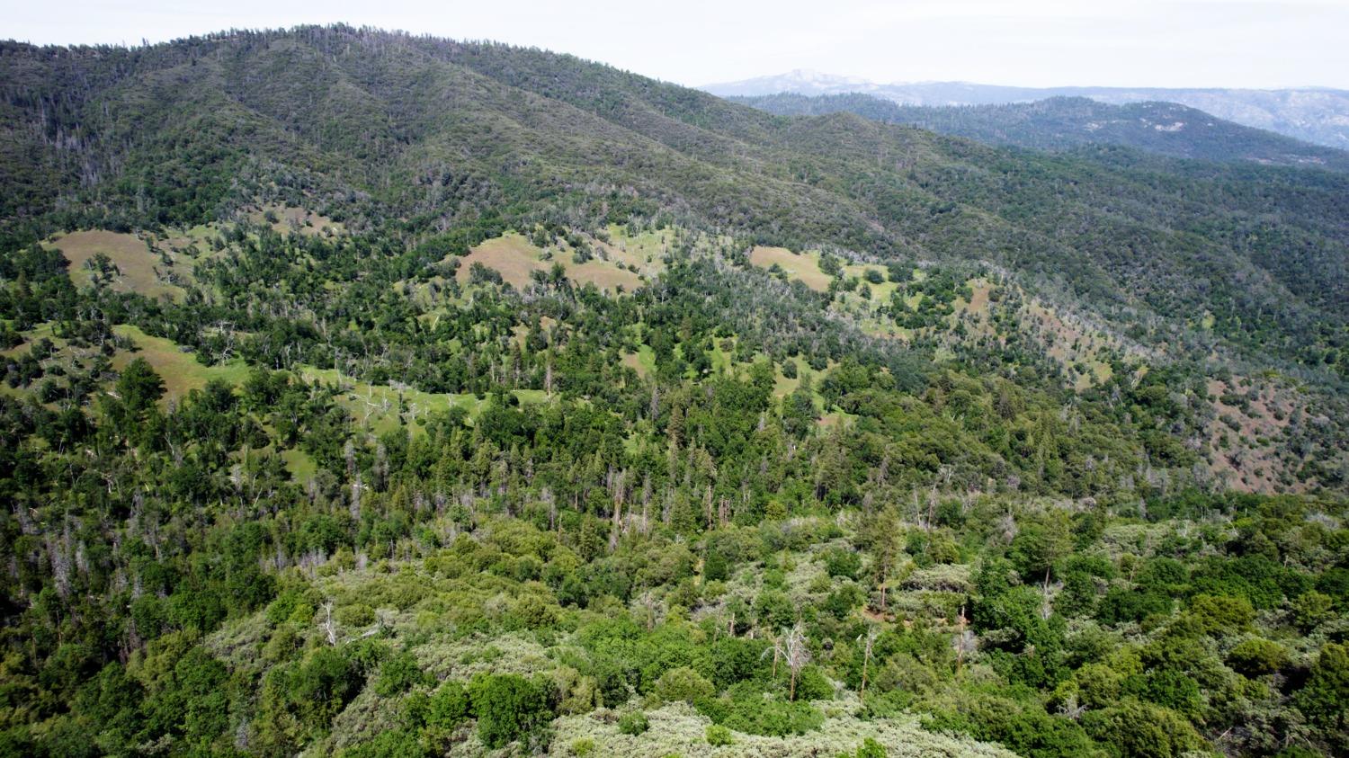 2 Road 200, Coarsegold, CA 93614