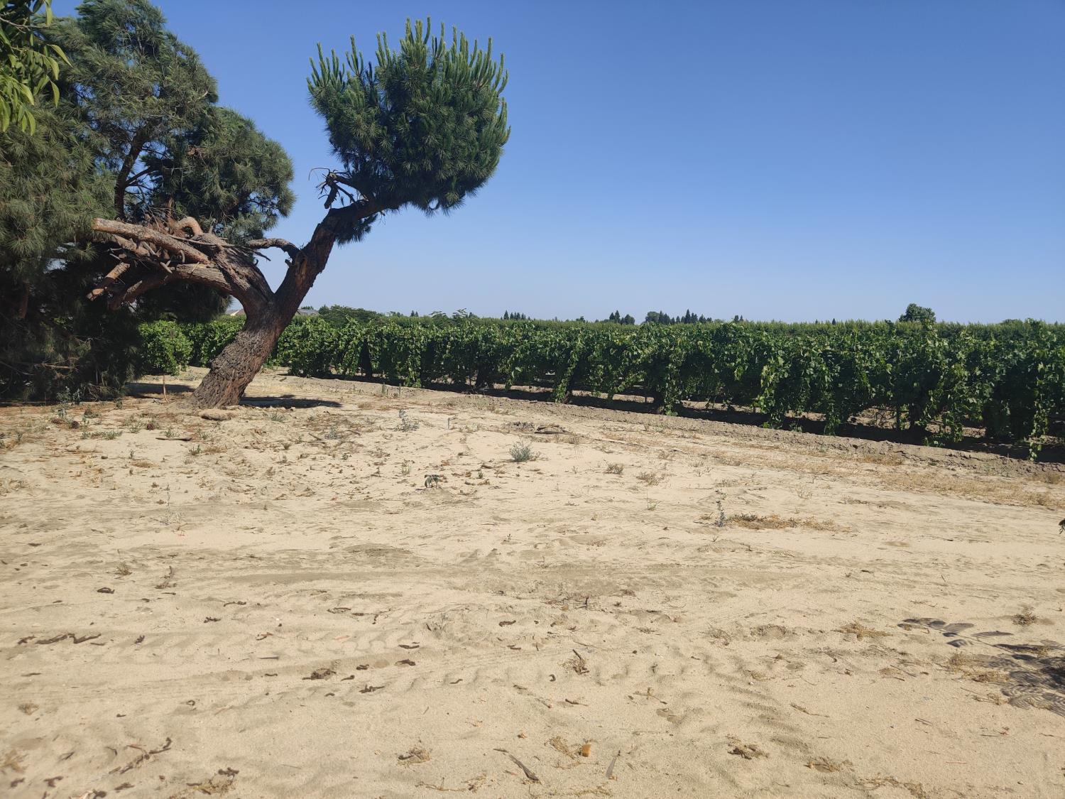 13608 S Academy, Kingsburg, CA 93631