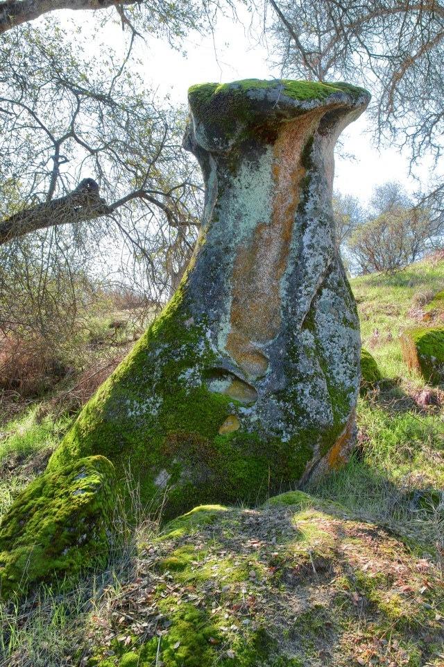 0 6.48 AC Long Hollow Dr, Coarsegold, CA 93614