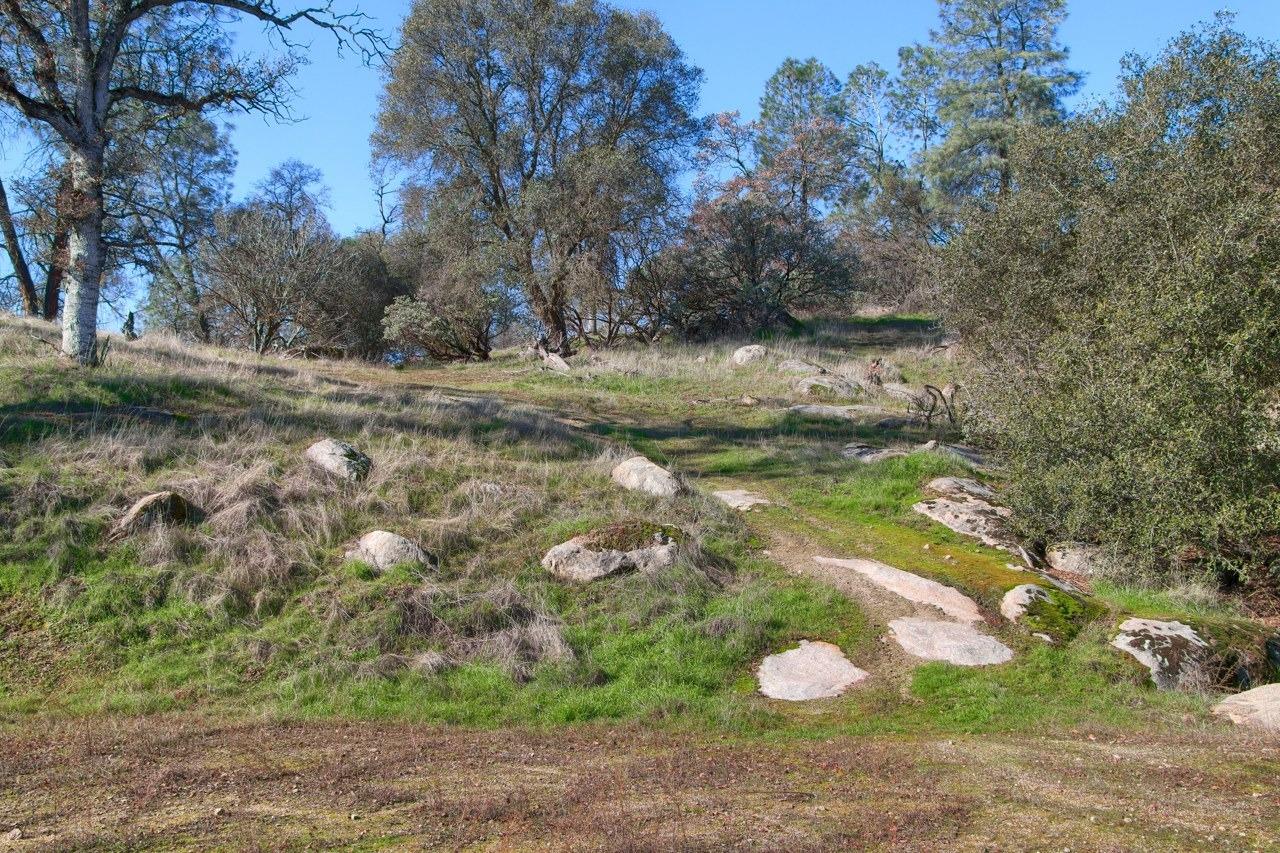 0 6.48 AC Long Hollow Dr, Coarsegold, CA 93614