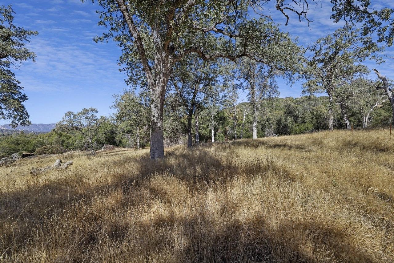 0 39.29 AC Village Dr, Oakhurst, CA 93644