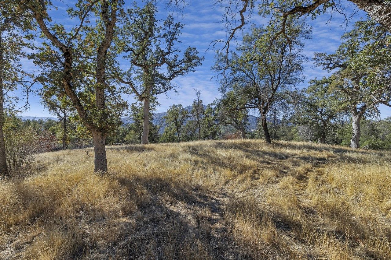 0 39.29 AC Village Dr, Oakhurst, CA 93644