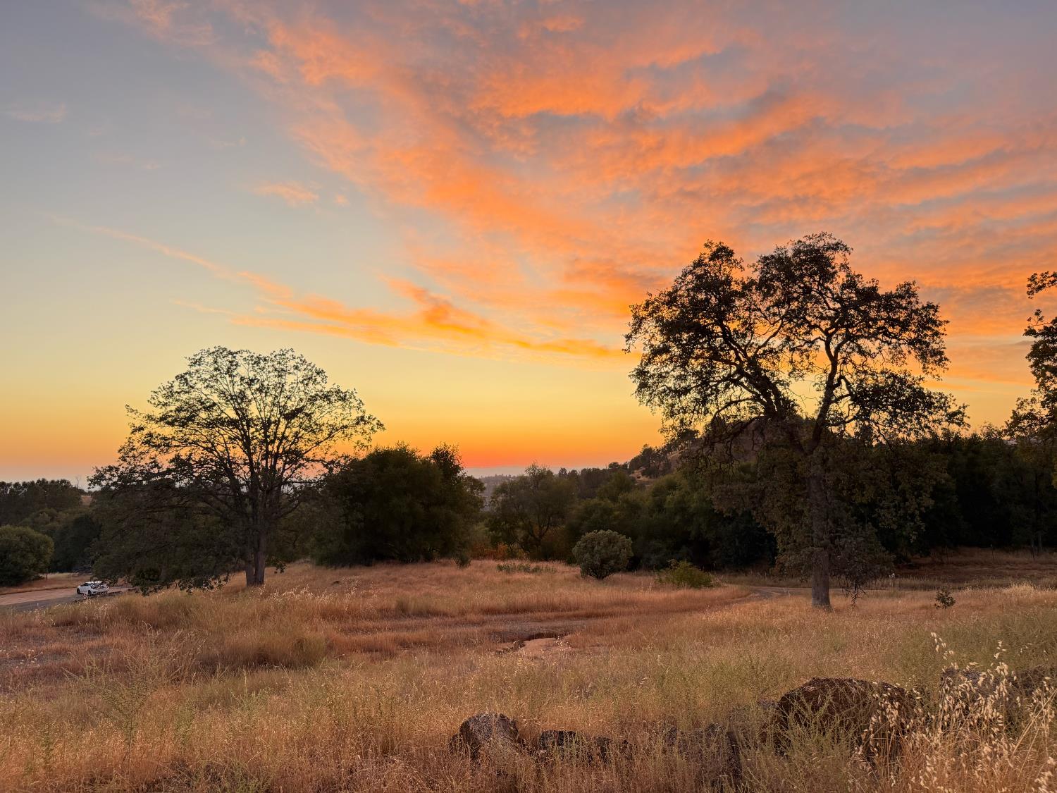 0 0 Buggy Whip Dr., Coarsegold, CA 93614