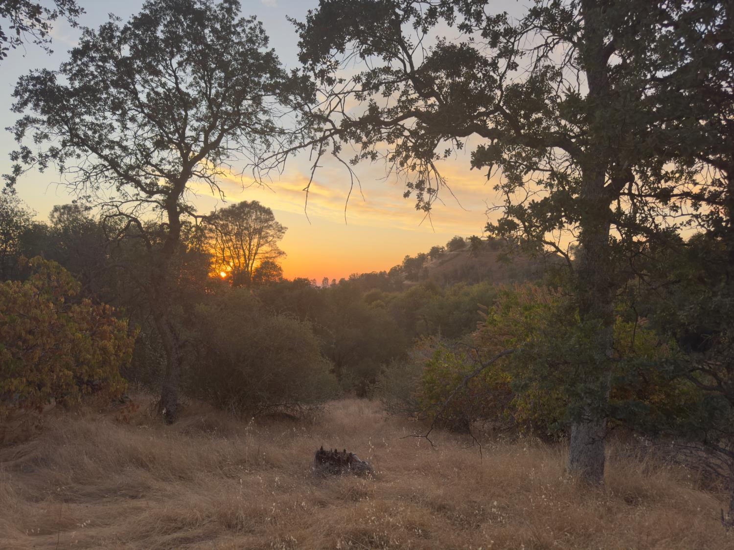 0 0 Buggy Whip Dr., Coarsegold, CA 93614